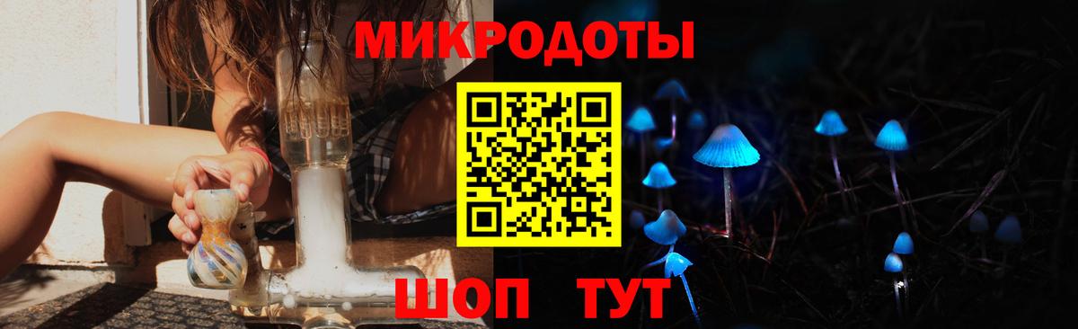 Бузулук  Псилоцибиновые грибы Psilocybine cubensis  Вход с VPN 